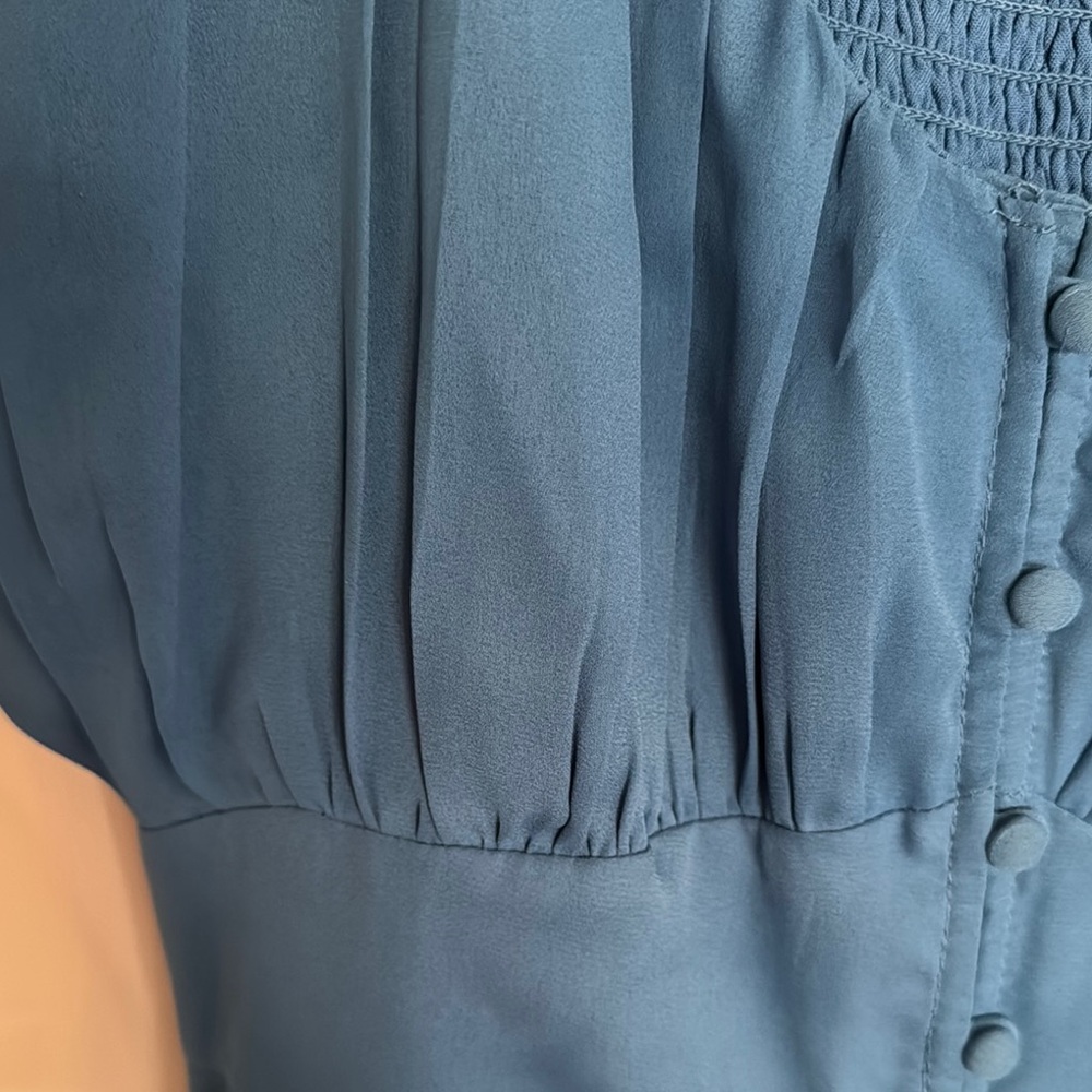Blue Button-Down Dress - Picture 3 of 4